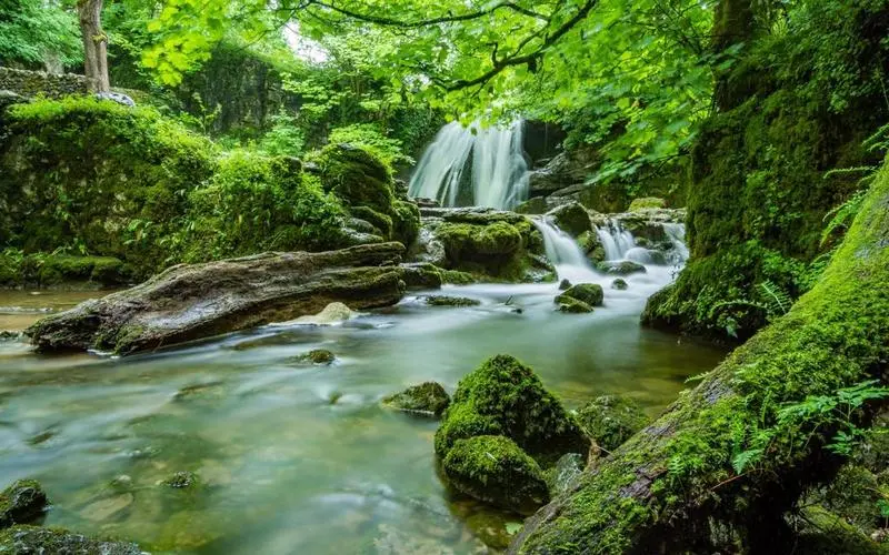 高效高性能科技